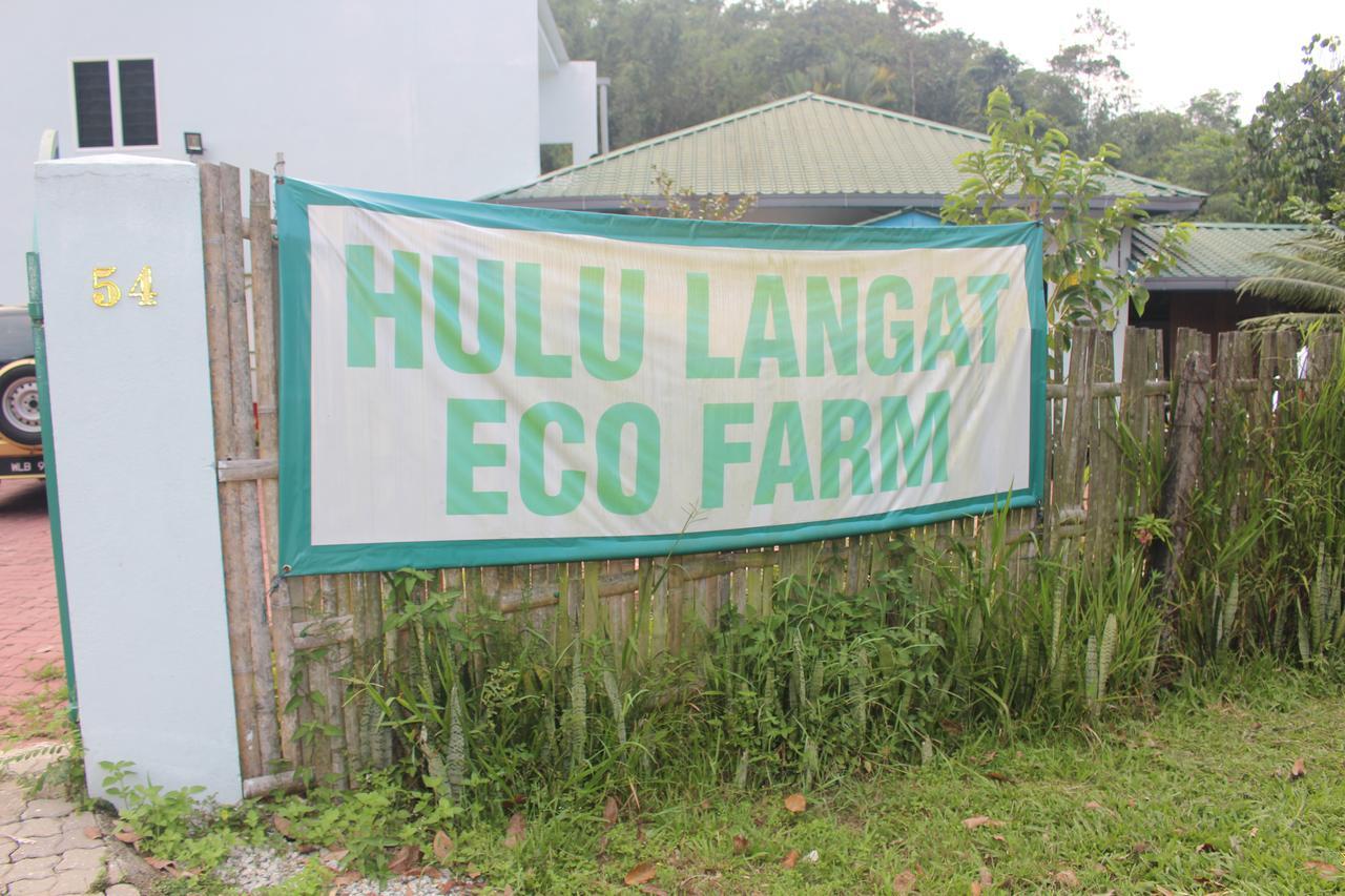Hulu Langat Home Stay Eco Farm / 自然生态休闲度假屋 - Kuala Lumpur